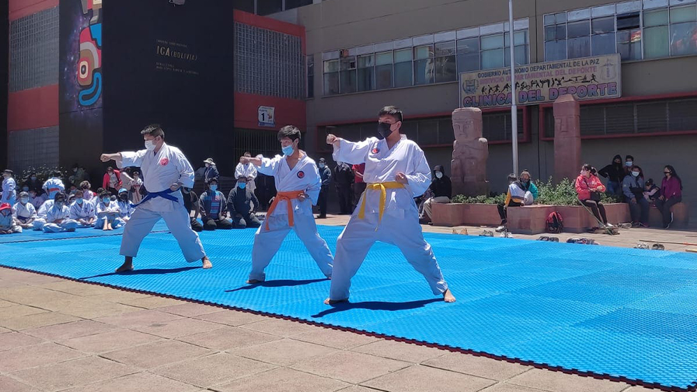 ../assets/images/maferfitgym/Karate Shotokan/5.jpg